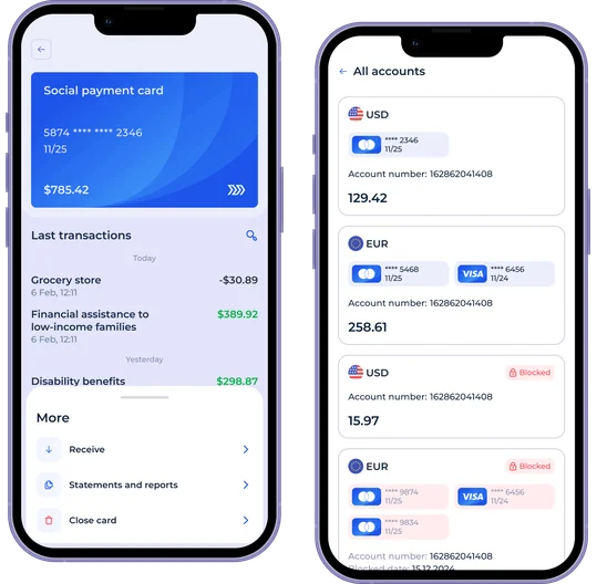 Government-Issued Social Benefit Card System